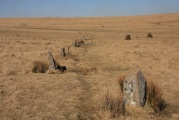 Click for full size image of Ringmoor Down Stone Row (PID:74212) Ringmoor Down Stone Row