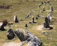Cosdon Hill Multiple Stone Rows