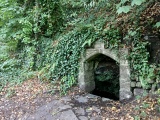 St John's Well (Tavistock) - PID:229398