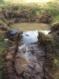 St Petrock's Well Devon