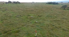 Shaugh Moor row