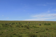 Brisworthy