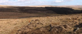 Leeden Tor