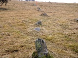 Shaugh Moor row