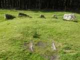 Soussons Common - PID:228244