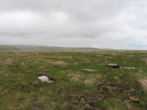 Sittaford Stone Circle