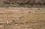 Shaugh Moor row