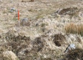 Leeden Tor