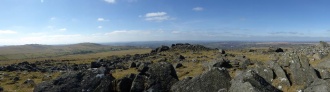 White Tor (Peter Tavy) - PID:131241