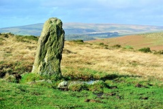 Butterdon Hill Row - PID:143661