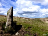 White Moor Stone