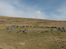 Walkhampton Enclosed Settlement