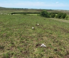 Warcombe Water row