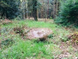 Langridge Wood Cist - PID:240528