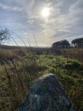 Burford Down Cairn Circle