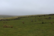 Sherberton circle