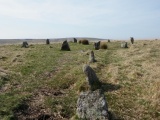 Ringmoor Down Stone Row