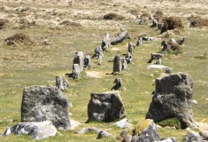 Cosdon Hill Multiple Stone Rows