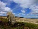 White Moor Stone