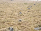 Shaugh Moor row
