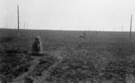 Ringmoor Down Stone Row
