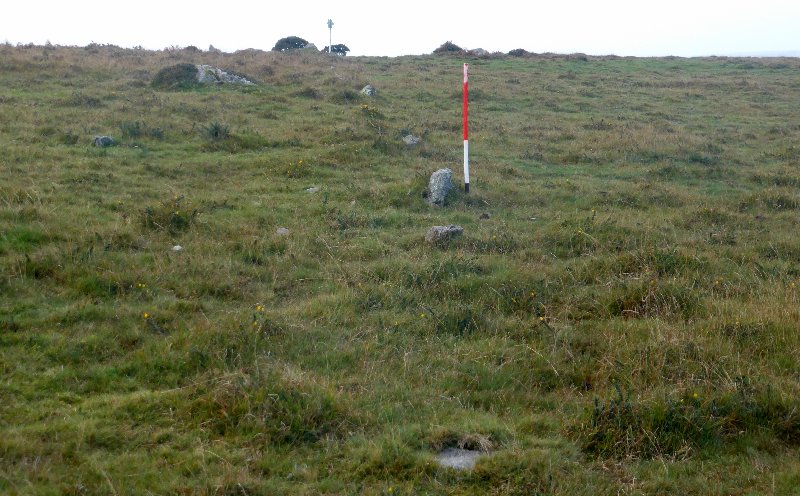 Shaugh Moor row