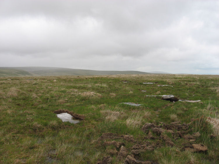 Sittaford Stone Circle