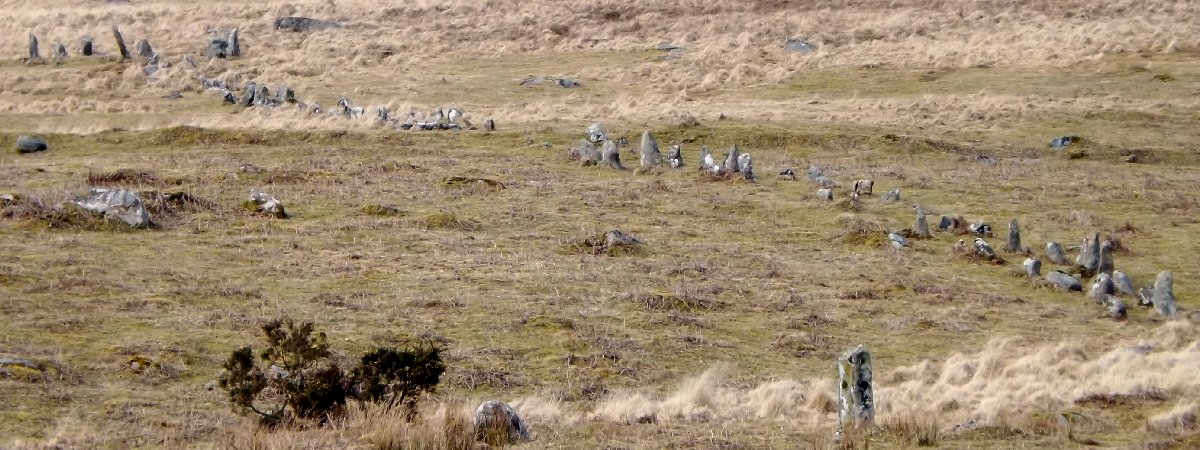 Double row ascending the lower slopes of Great Trowlesworthy Tor. View from south west (12th April 2013).