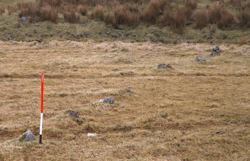 The lower end of the row with china clay tip beyond. View from the south (24th March 2013).