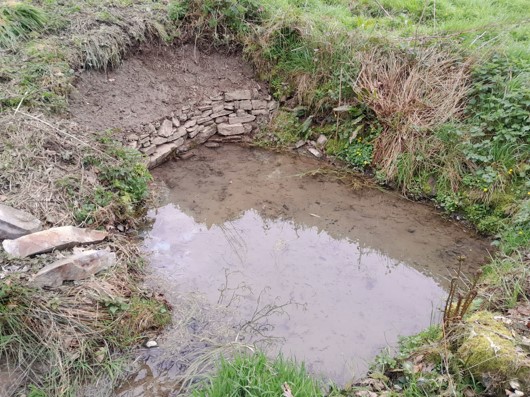 St Petrock's Well Devon