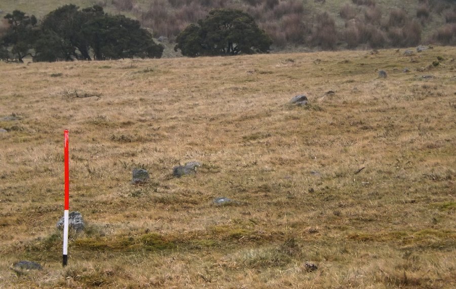 Shaugh Moor row