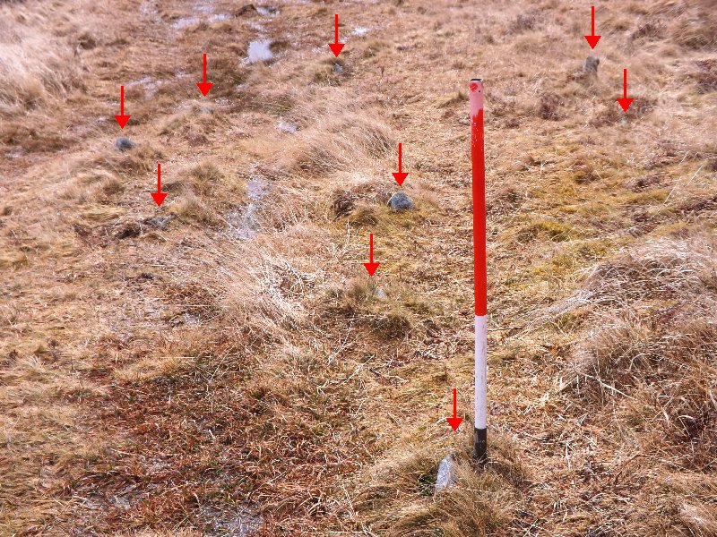 Holne Moor