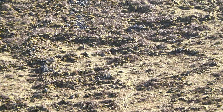 Three Barrows West prehistoric settlement