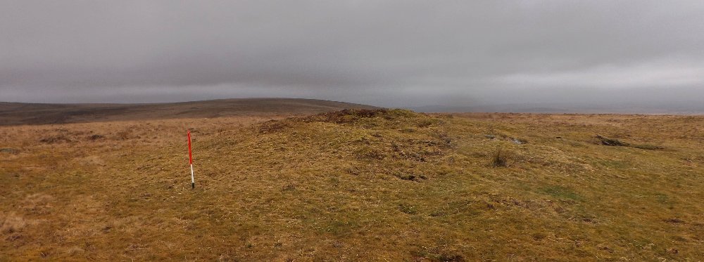 Holne Ridge 5