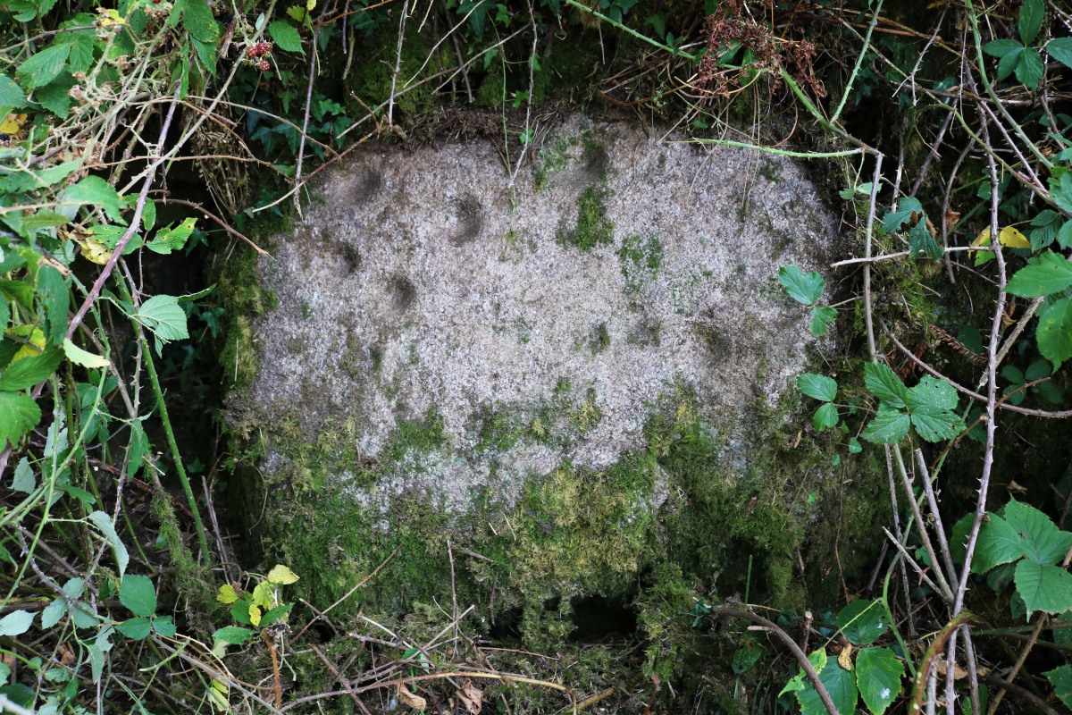 Brisworthy Cup Stone