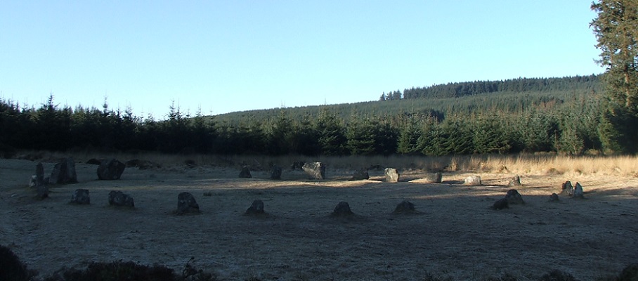 Grey Wethers beyond the forest.