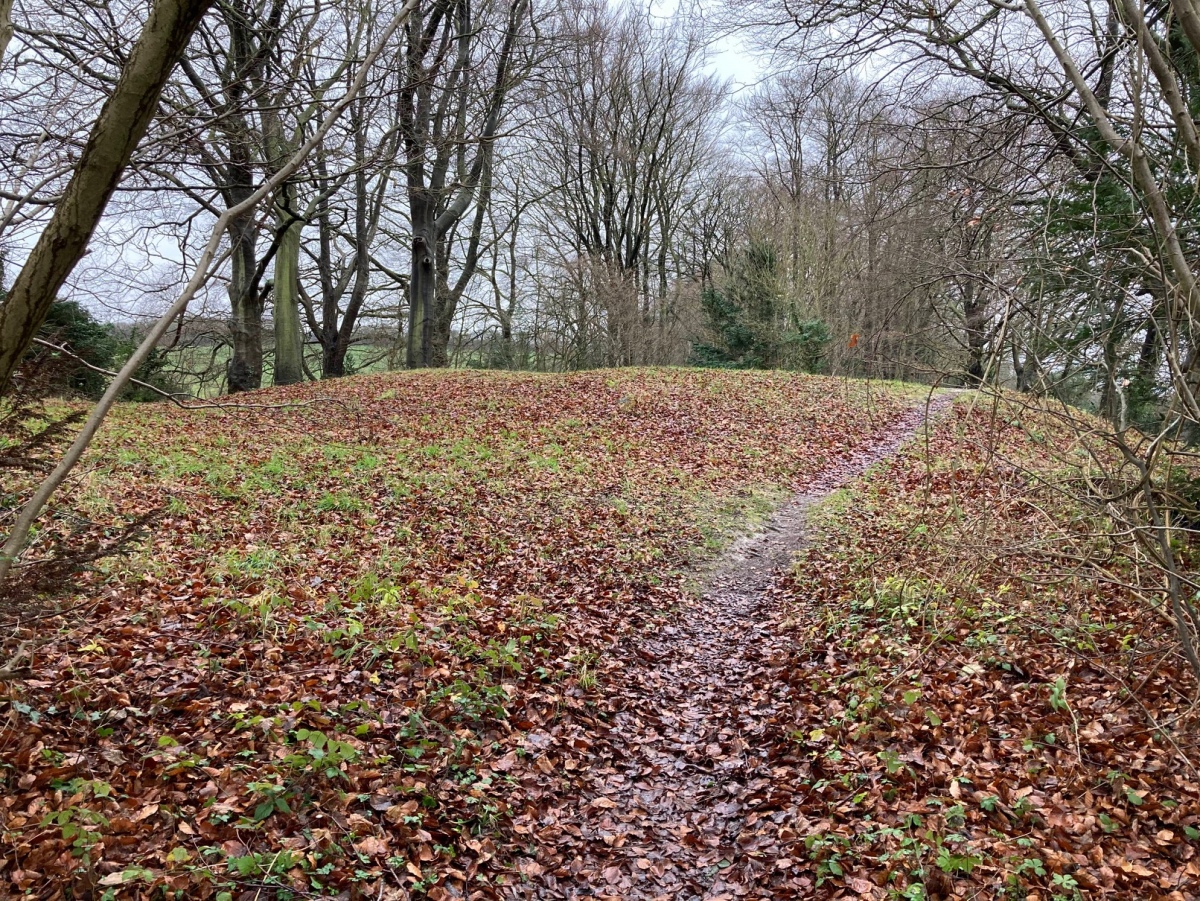 Shoulder of Mutton Wood Bowl Barrow