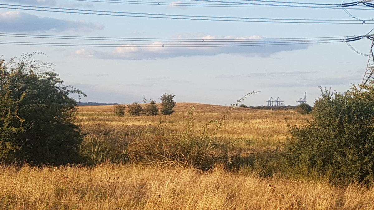 Barrow Hill (Kent) (PID:202515) Barrow Hill (Kent)