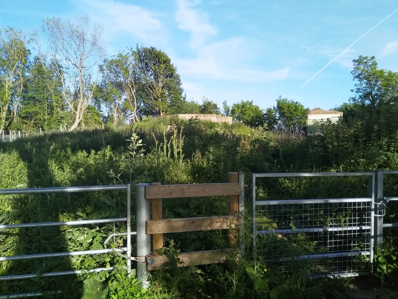 Click for the gallery page to add comments and vote (PID:198012) Cherry Garden Hill Barrow