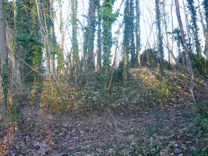 The Junipers Tumulus