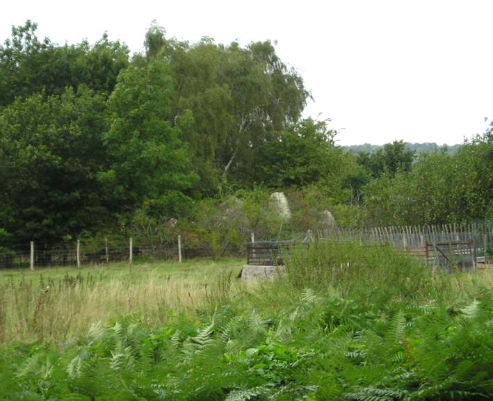 To see the remains of this chambered long barrow, which lies in private ground, a visit needs to be arranged in advance with the owners, which I hadnt done, as I hadn't planned in advance to be here. However, the top of the stones can be seen over the field from the road through Addington Barrow.