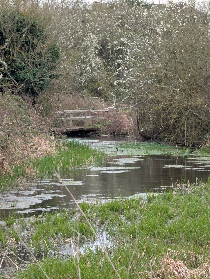 Click for the gallery page to add comments and vote (PID:302909) St. Thomas a Becket's Spring (Bapchild)