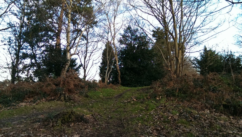 Millpond Wood Barrow