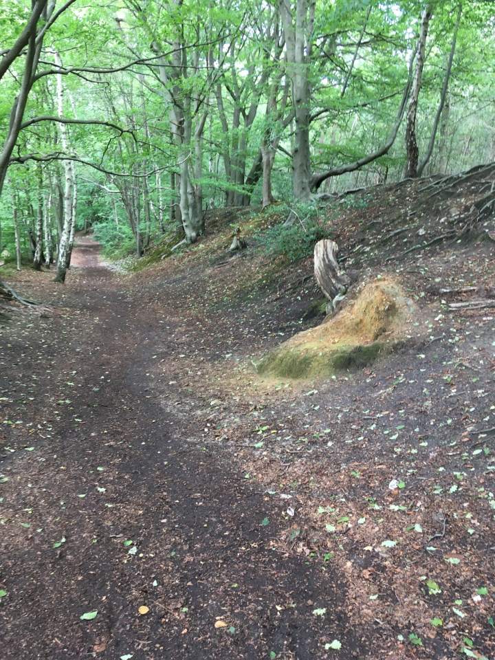 Oldbury Hillfort
