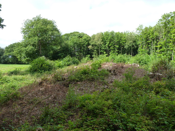 Shrub's Wood Long Barrow