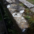 The Devil's stone (Kent) - PID:260363
