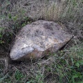 Lower White Horse Stone - PID:261411