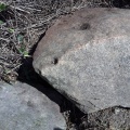 Lower White Horse Stone - PID:260334