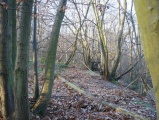 Bigbury Camp - PID:44553