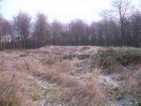 Jackets Field Long Barrow - PID:44631